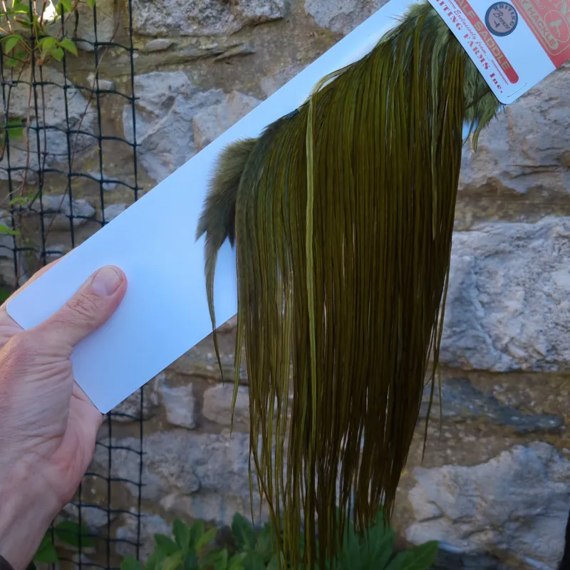 Whiting 1/2 BRONZE Grade Dry Fly Rooster Saddle in Dark Olive-4